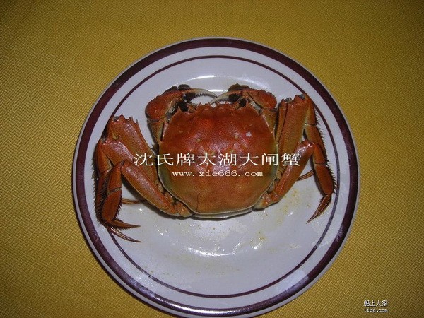供应太湖大闸蟹